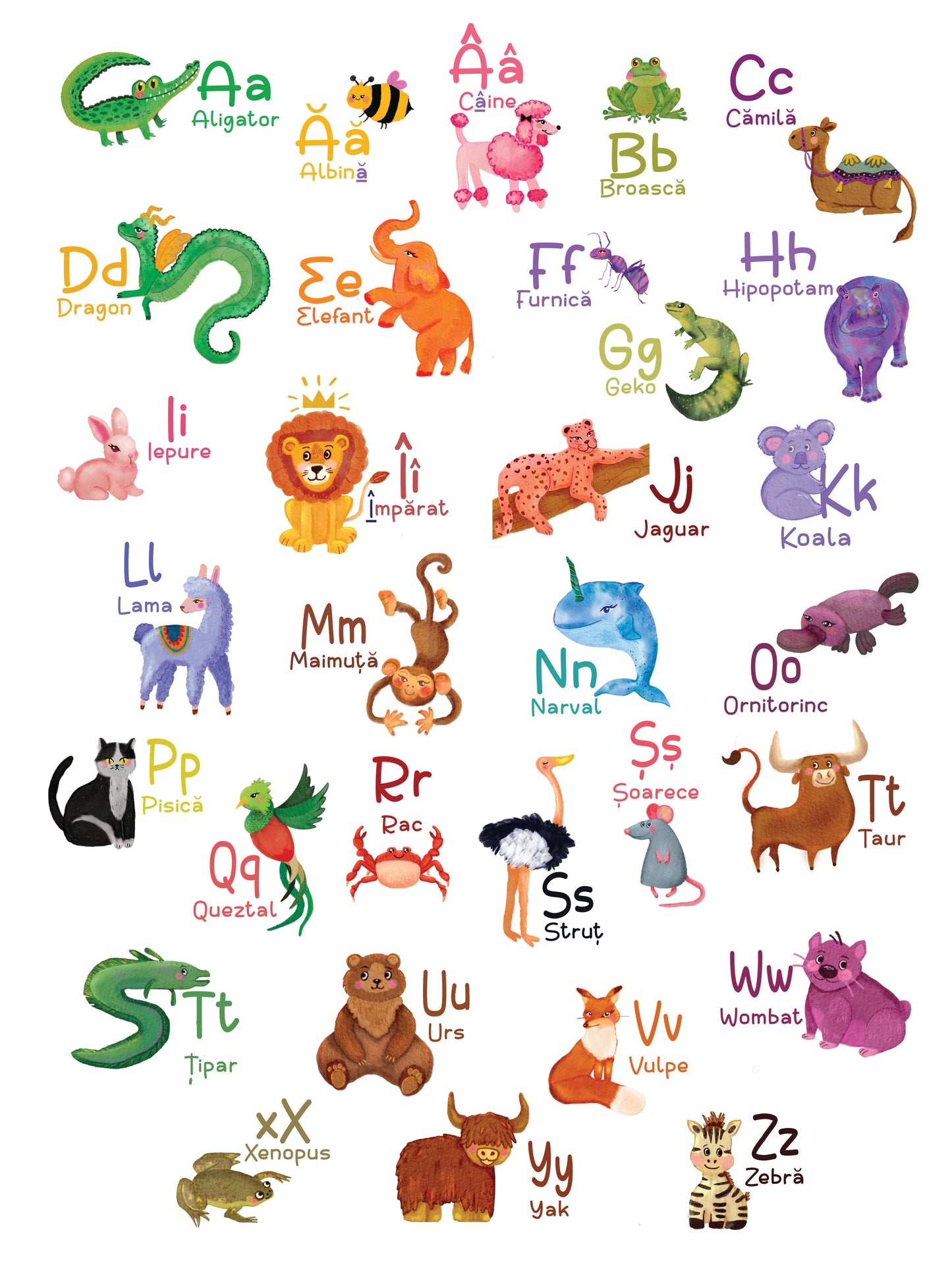 Set - Alfabet & Numere