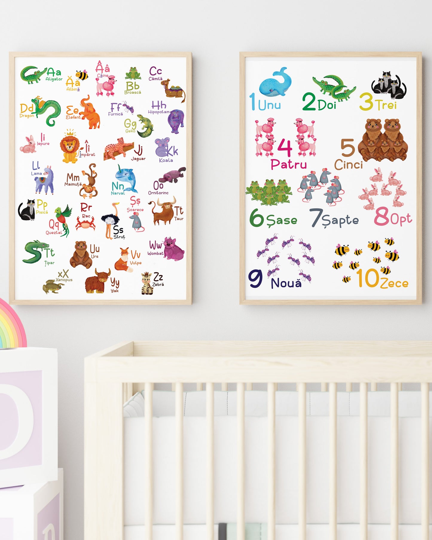 Set - Alfabet & Numere