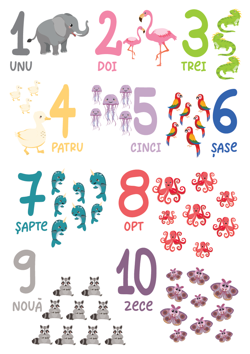 Numărăm împreună - Limba Română
