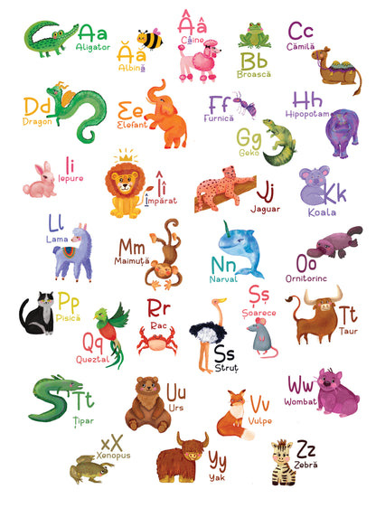 Set - Alfabet & Numere