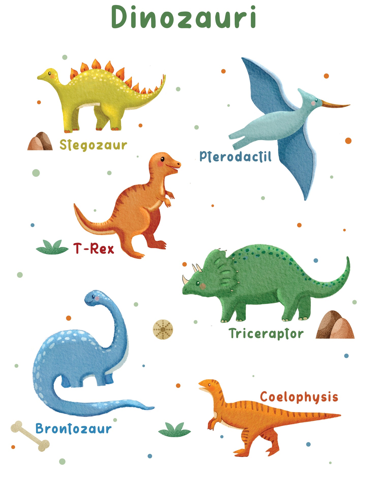 Illustrations of various dinosaurs with labels on a white background