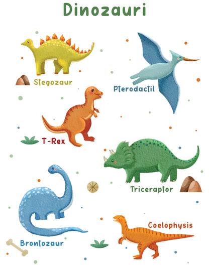 Illustrations of various dinosaurs with labels on a white background