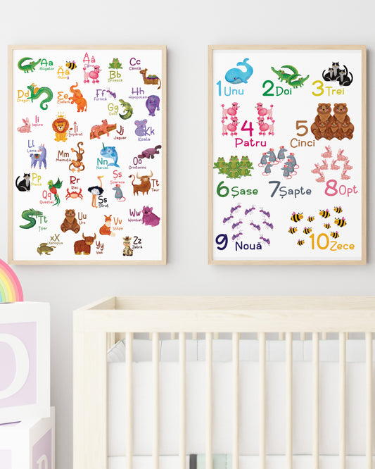 Set - Alfabet & Numere